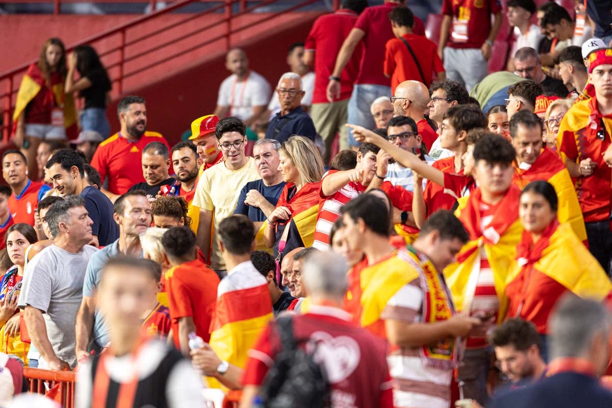 Búscate en la grada de Los Cármenes en el partido de &#039;la Roja&#039;