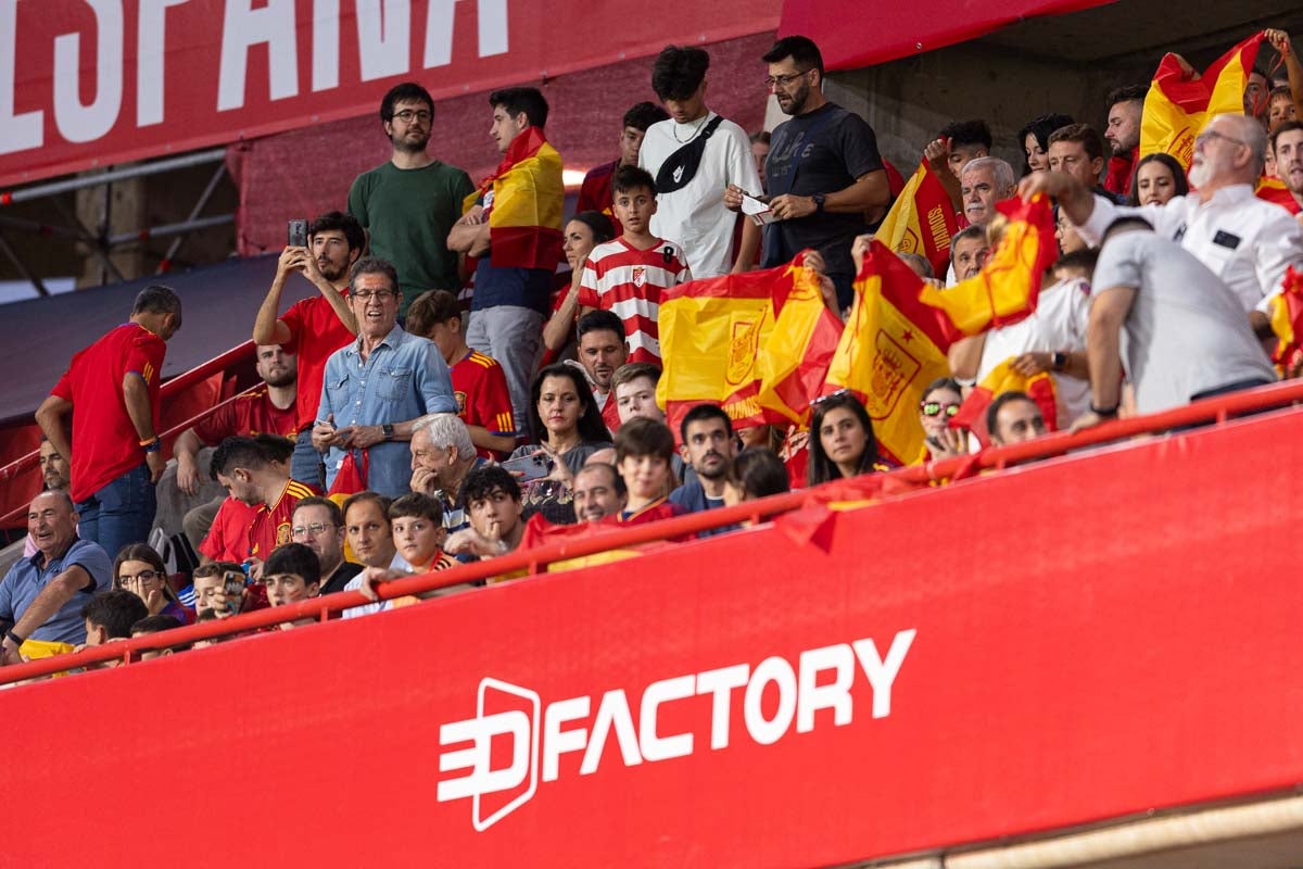 Búscate en la grada de Los Cármenes en el partido de &#039;la Roja&#039;