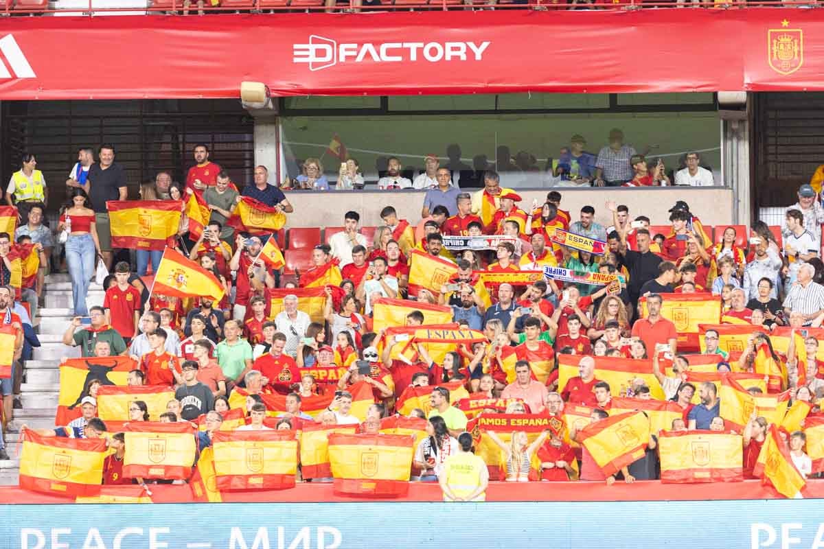 Búscate en la grada de Los Cármenes en el partido de &#039;la Roja&#039;