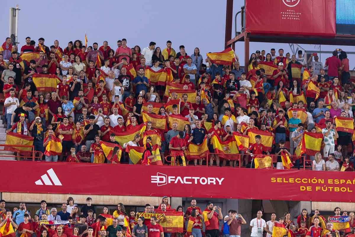 Búscate en la grada de Los Cármenes en el partido de &#039;la Roja&#039;