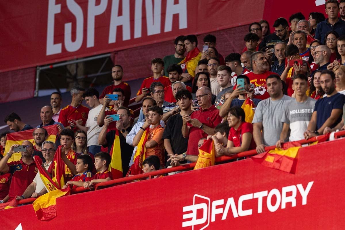 Búscate en la grada de Los Cármenes en el partido de &#039;la Roja&#039;