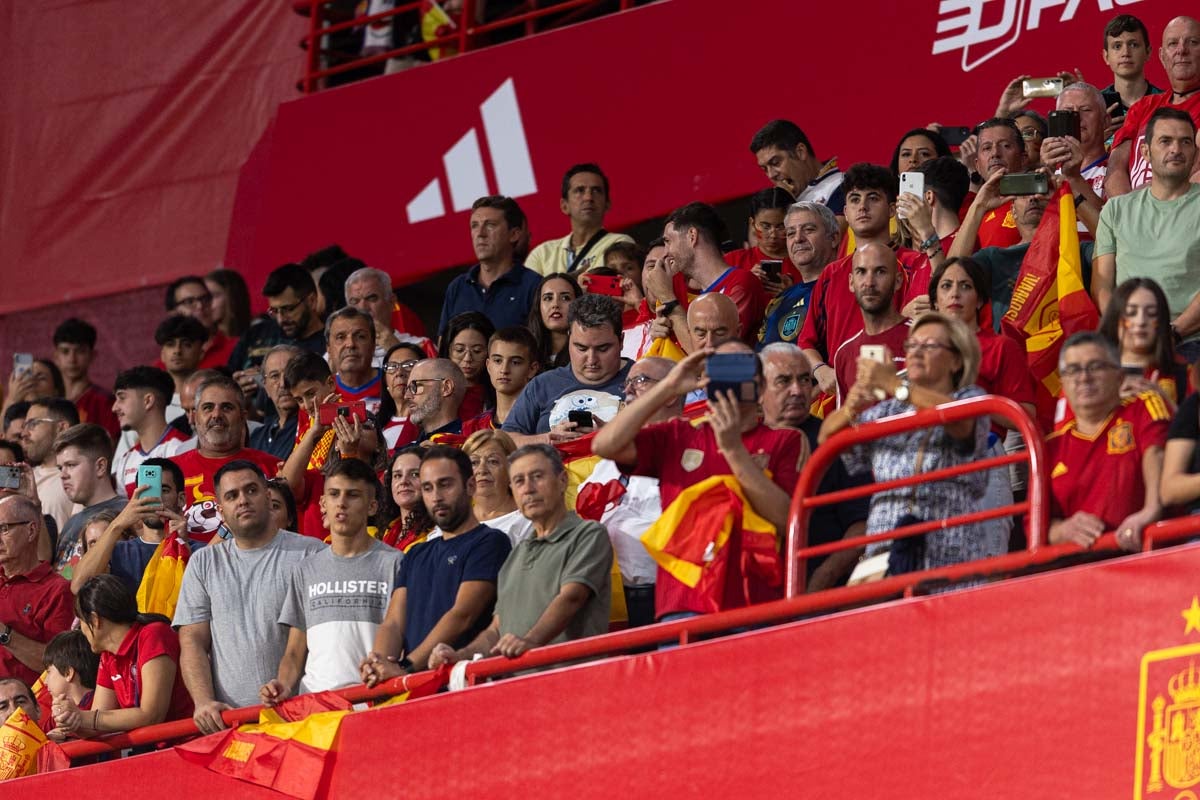 Búscate en la grada de Los Cármenes en el partido de &#039;la Roja&#039;