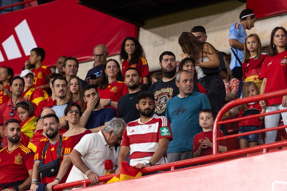 Búscate en la grada de Los Cármenes en el partido de &#039;la Roja&#039;