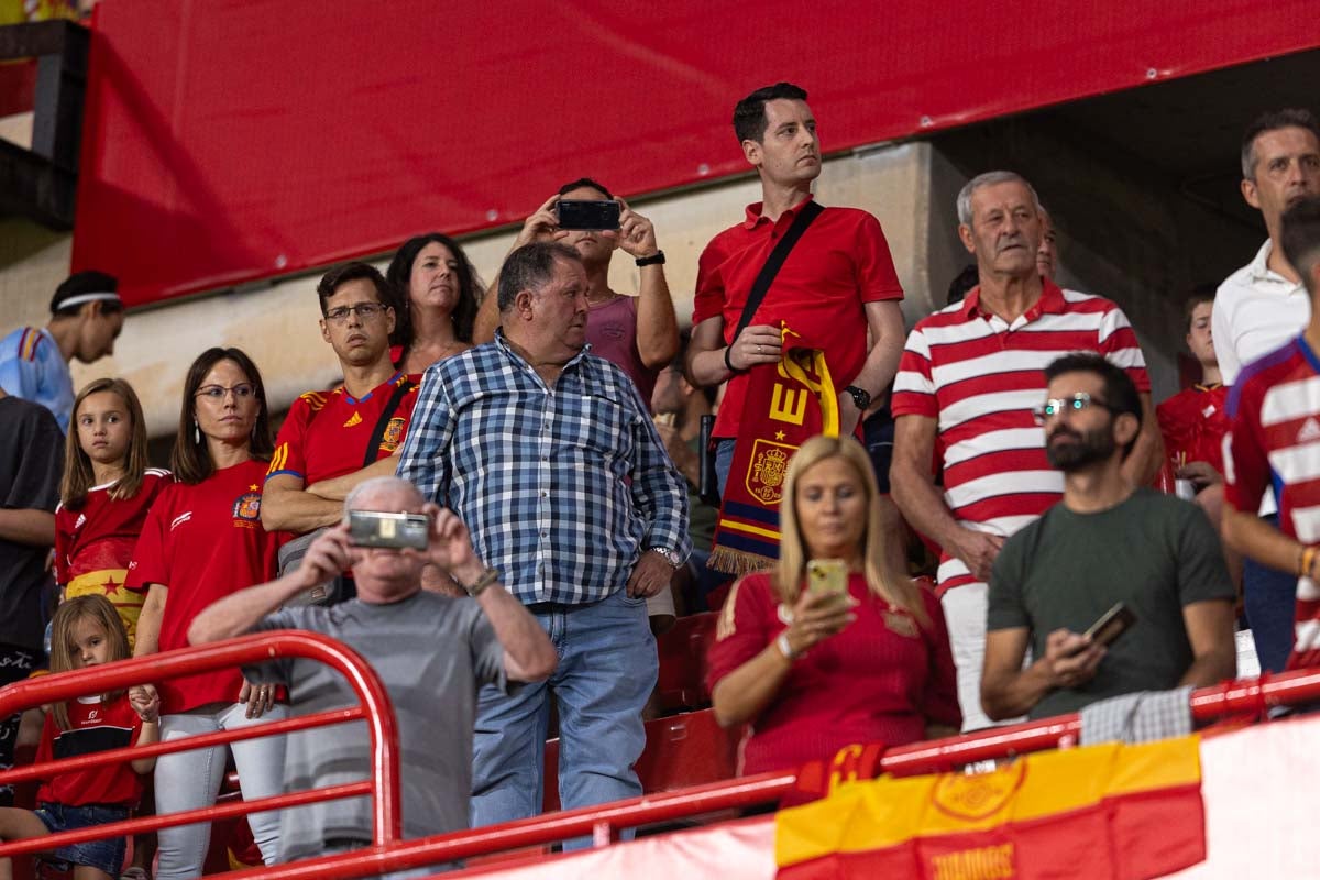 Búscate en la grada de Los Cármenes en el partido de &#039;la Roja&#039;