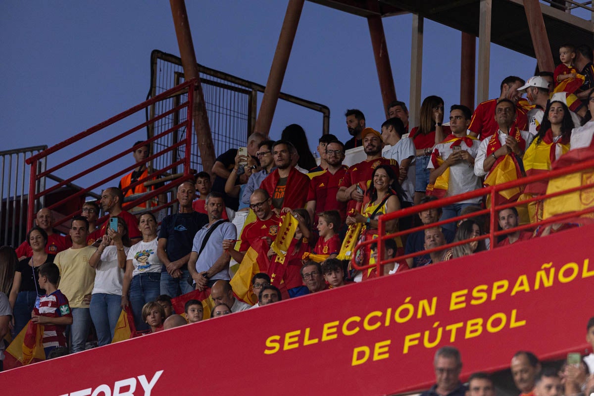 Búscate en la grada de Los Cármenes en el partido de &#039;la Roja&#039;