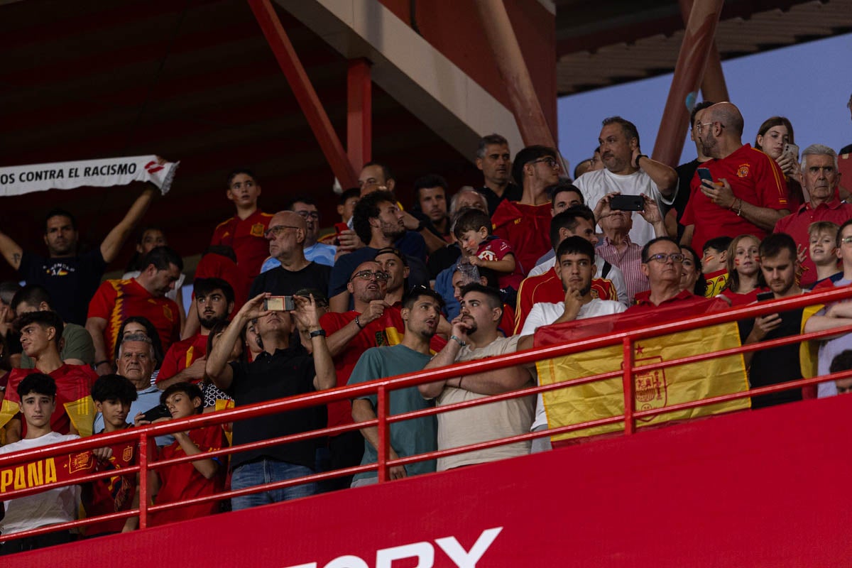 Búscate en la grada de Los Cármenes en el partido de &#039;la Roja&#039;