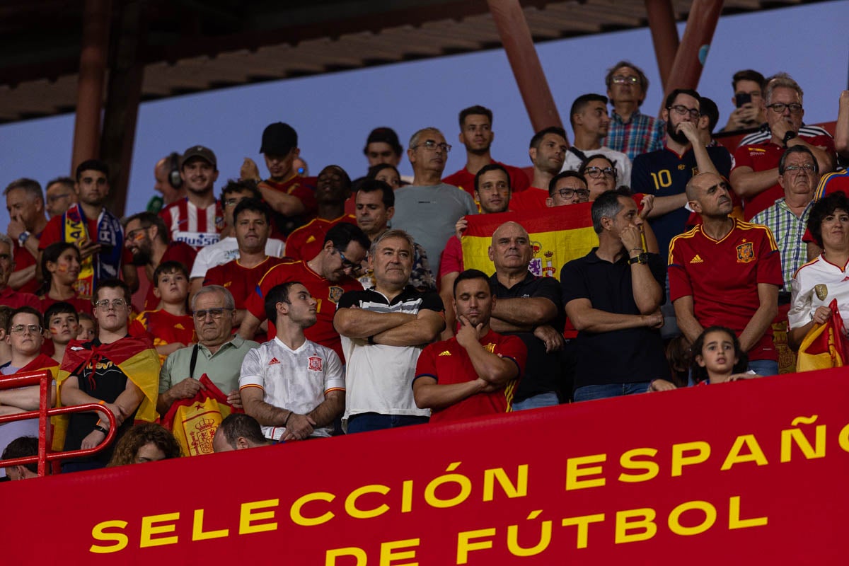 Búscate en la grada de Los Cármenes en el partido de &#039;la Roja&#039;