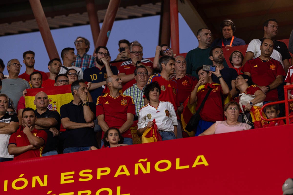 Búscate en la grada de Los Cármenes en el partido de &#039;la Roja&#039;