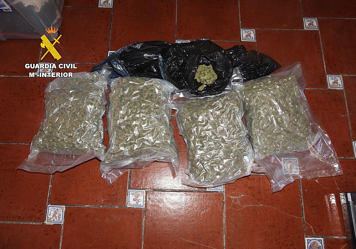 Marihuana incautada en la vivienda de Las Gabias