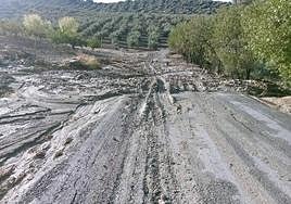 Campo afectado por las tormentas del jueves en Alcalá la Real.