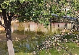 Acumulación de agua a causa de la rotura de los aspersores.