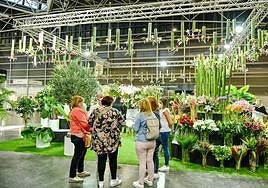 Más de una decena de empresas almerienses estarán la próxima semana en Iberflora