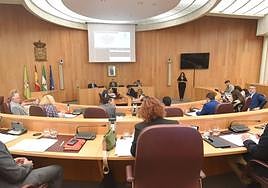 Pleno de la Diputación en la sesión de este miércoles.