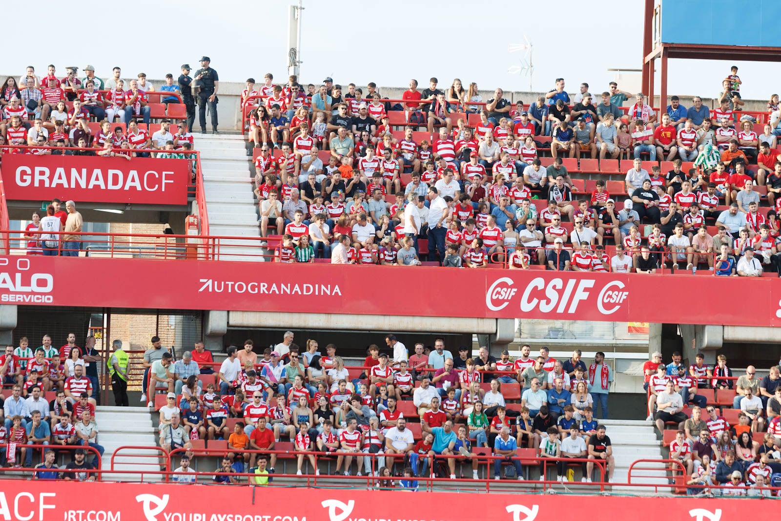 Búscate en la grada de Los Cármenes durante el Granada-Betis