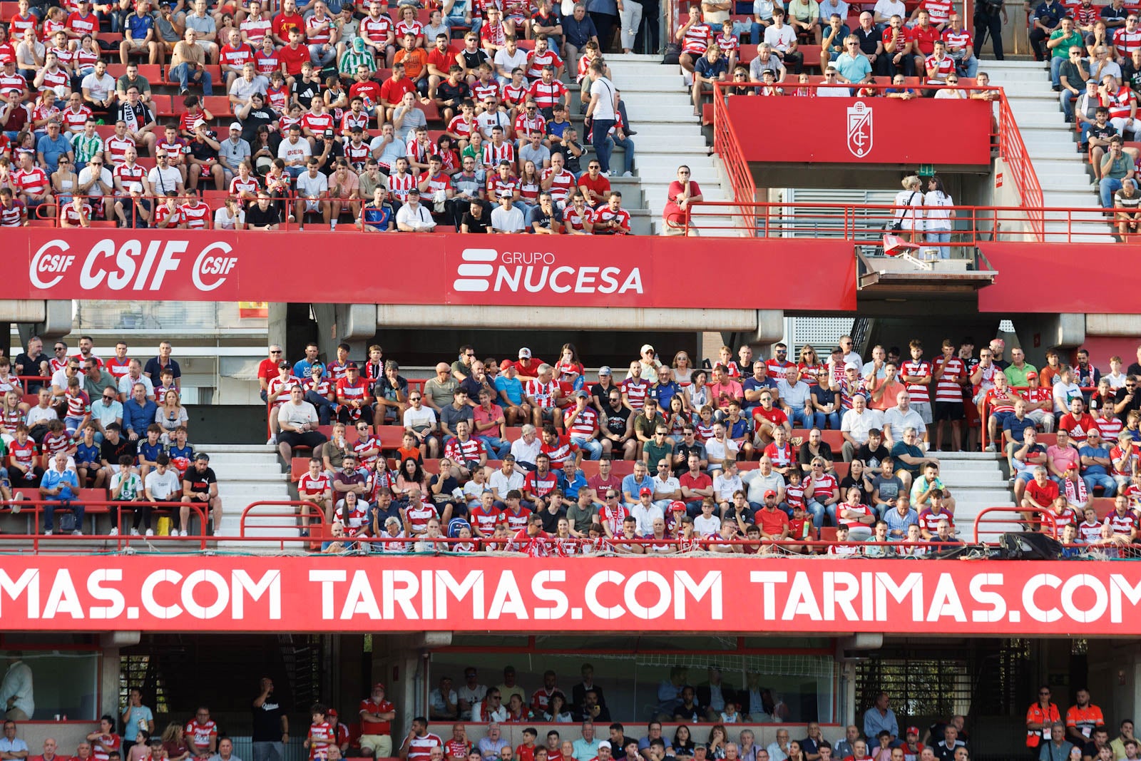 Búscate en la grada de Los Cármenes durante el Granada-Betis