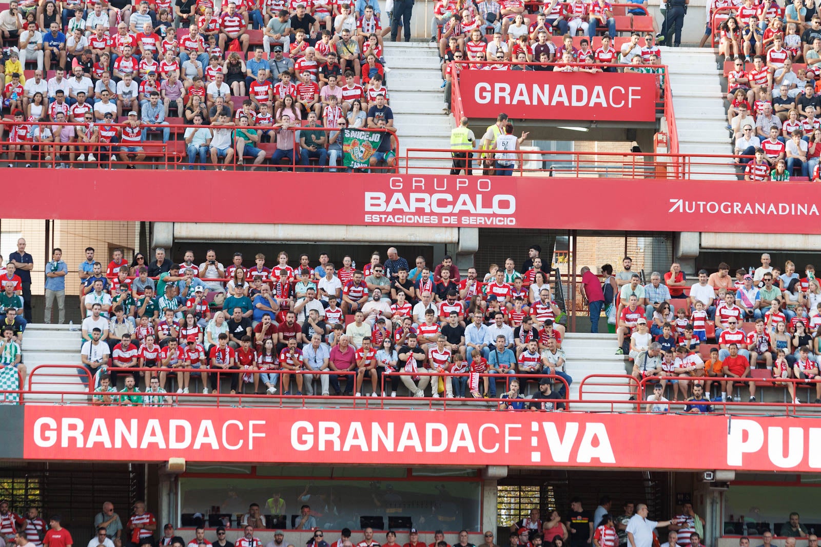 Búscate en la grada de Los Cármenes durante el Granada-Betis