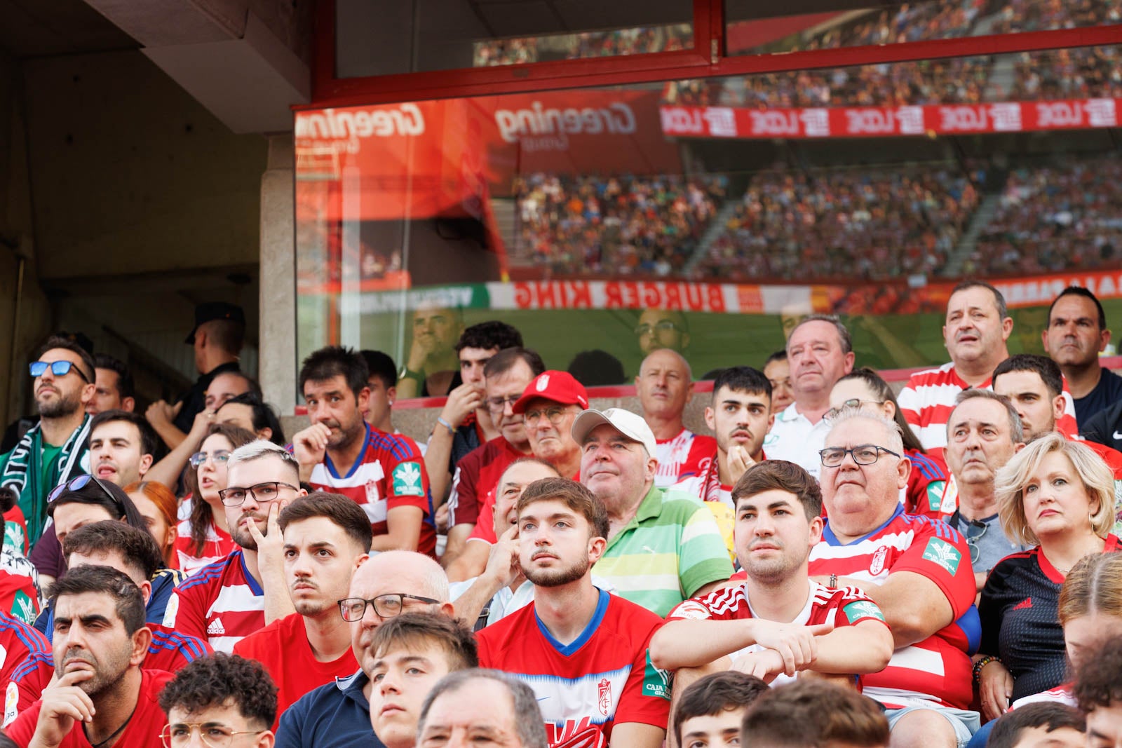 Búscate en la grada de Los Cármenes durante el Granada-Betis
