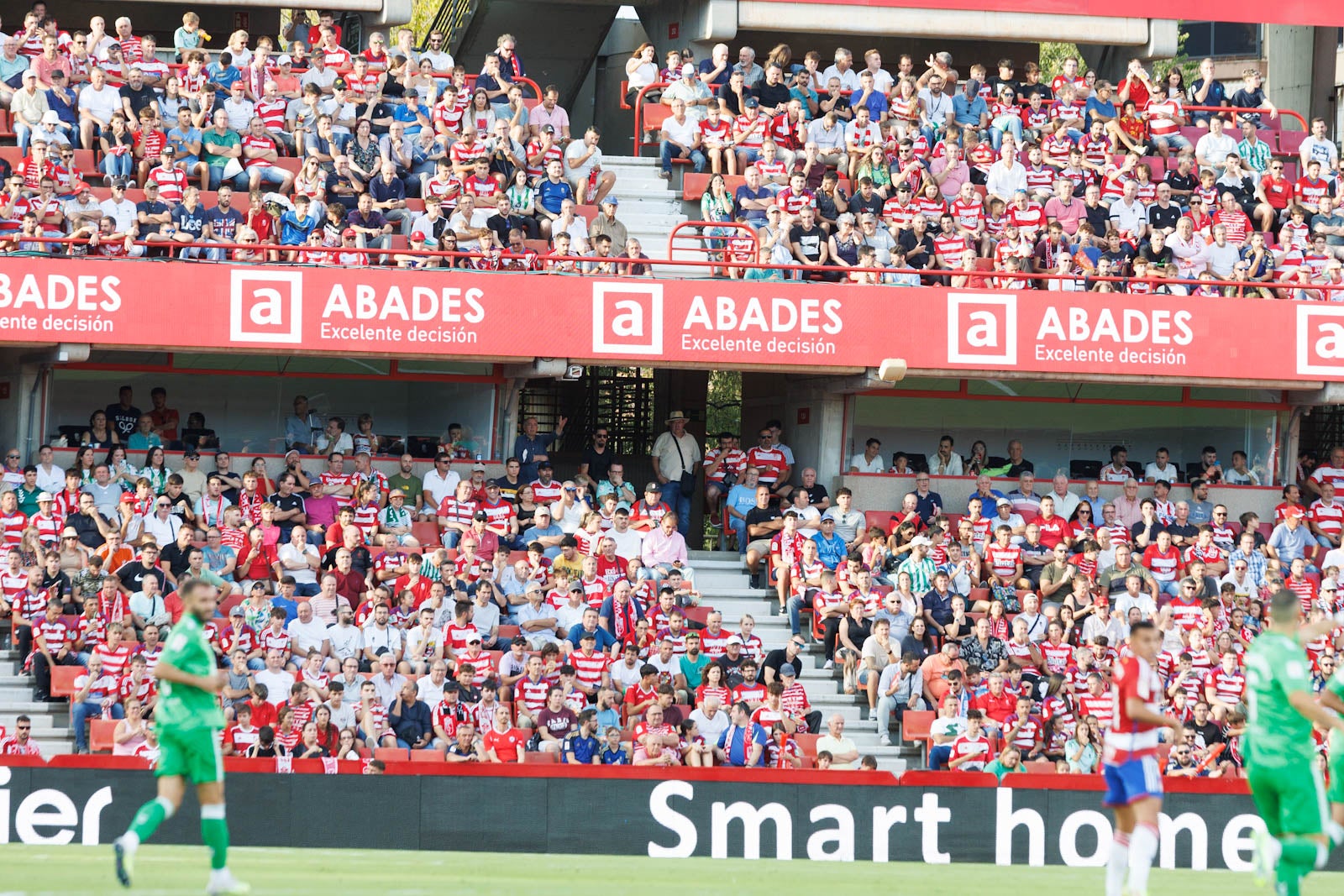Búscate en la grada de Los Cármenes durante el Granada-Betis