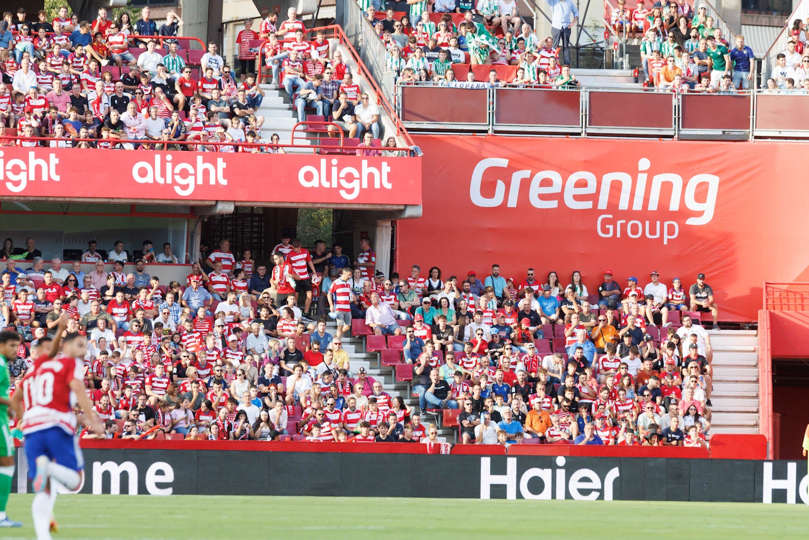 Búscate en la grada de Los Cármenes durante el Granada-Betis