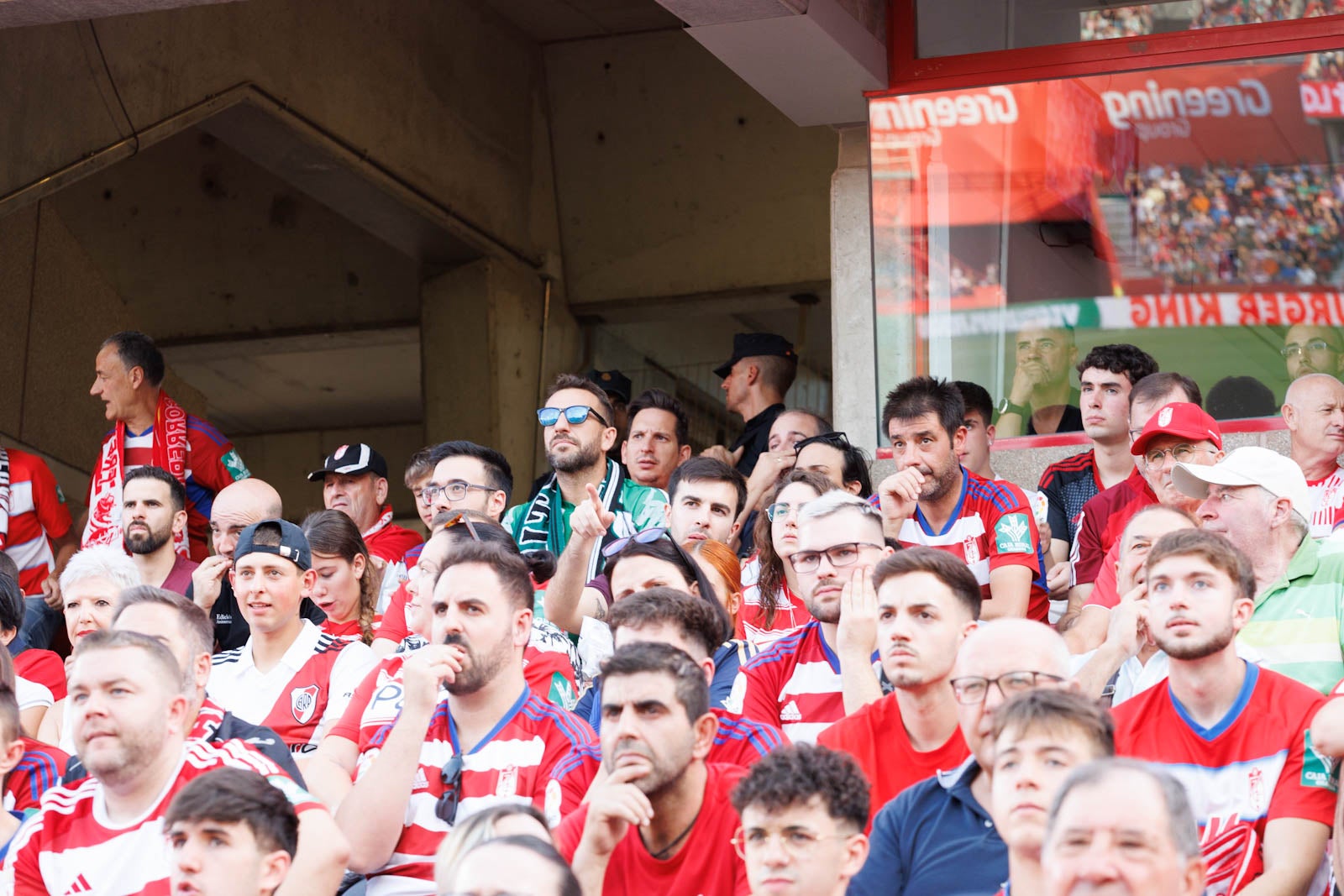 Búscate en la grada de Los Cármenes durante el Granada-Betis