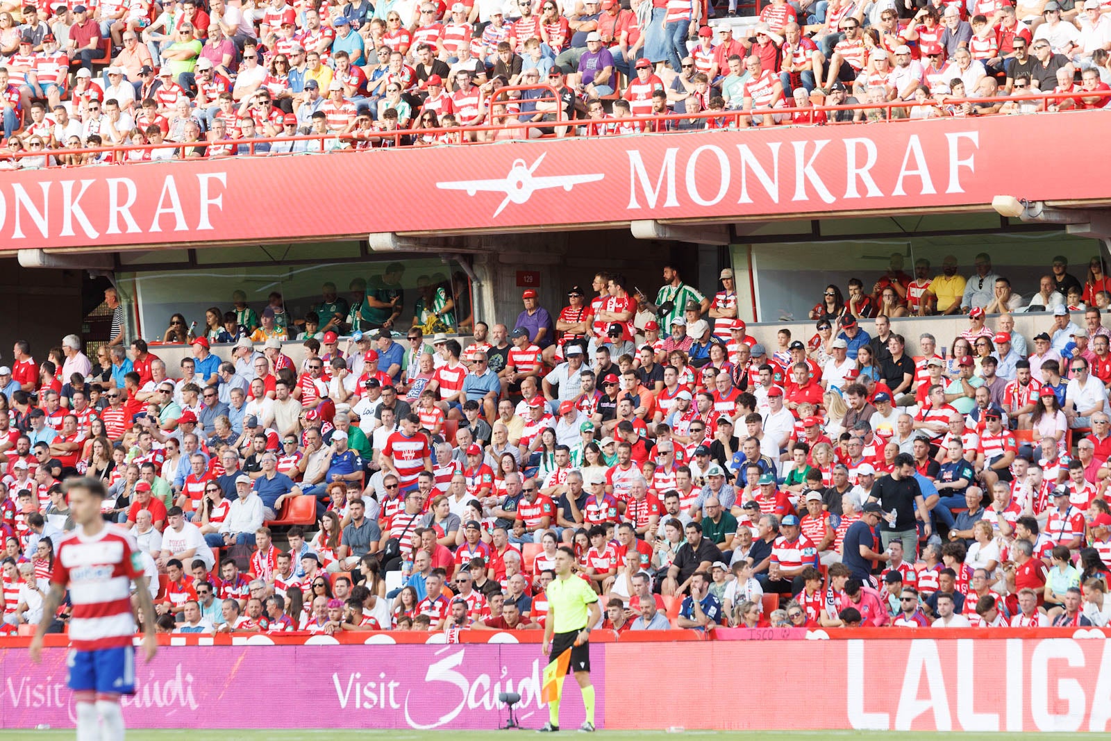 Búscate en la grada de Los Cármenes durante el Granada-Betis