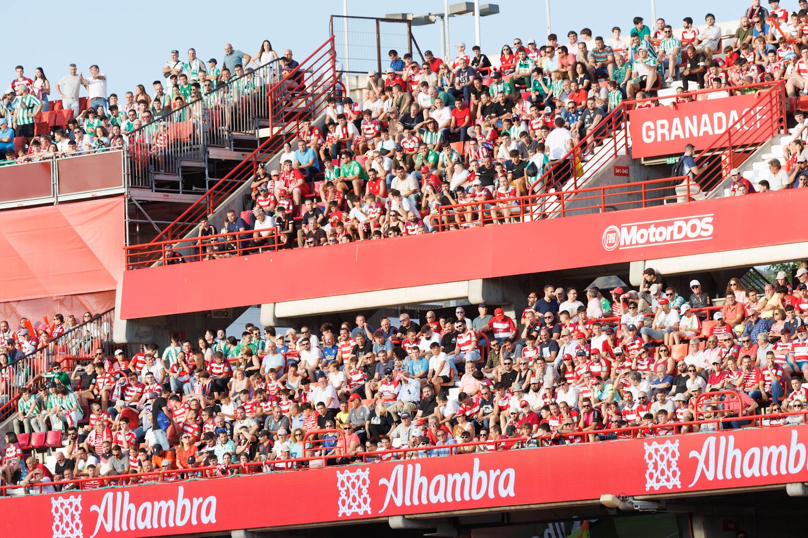 Búscate en la grada de Los Cármenes durante el Granada-Betis