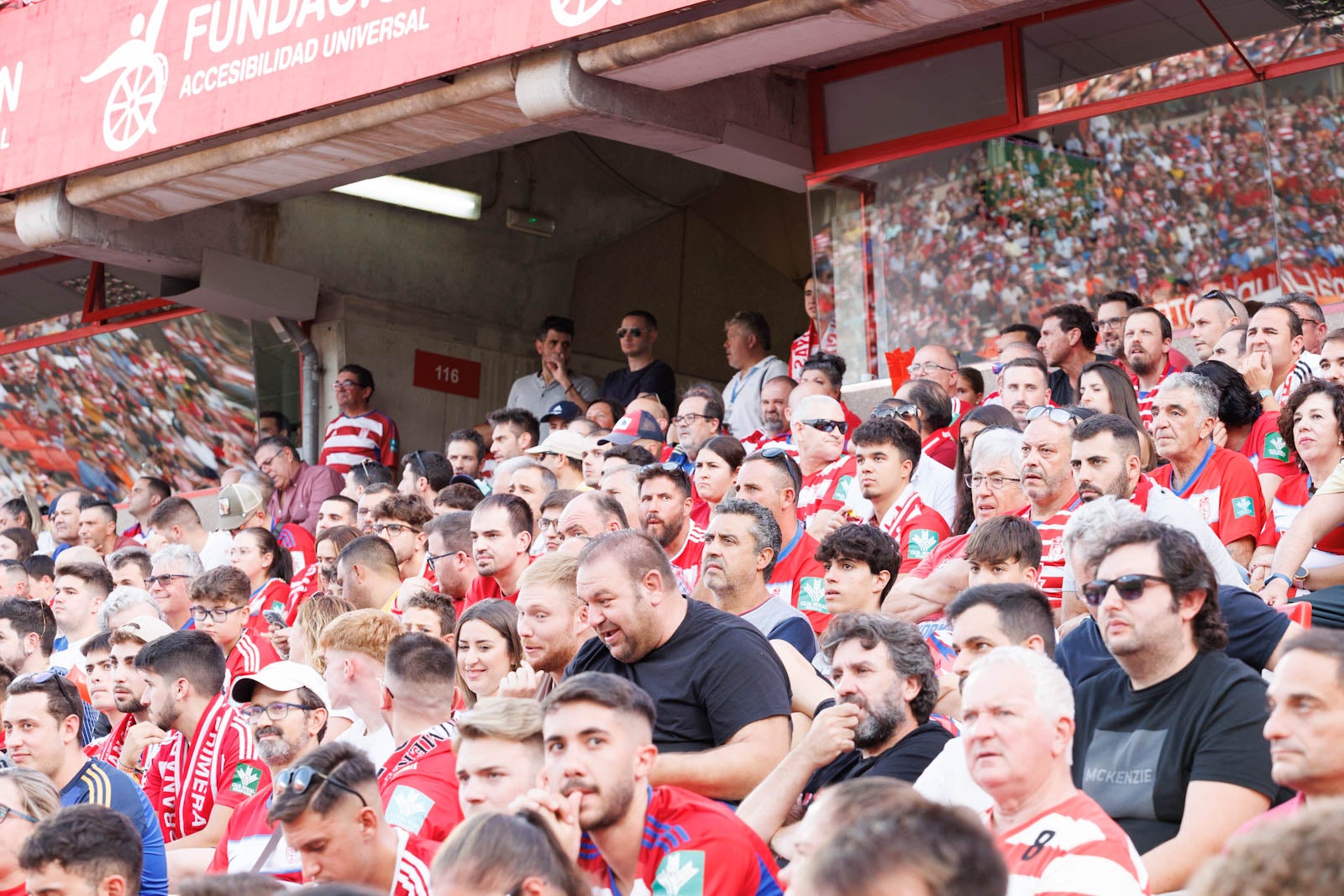 Búscate en la grada de Los Cármenes durante el Granada-Betis