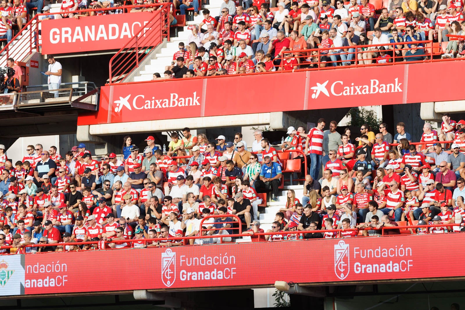 Búscate en la grada de Los Cármenes durante el Granada-Betis