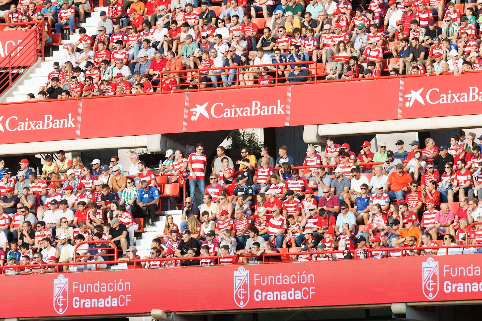 Búscate en la grada de Los Cármenes durante el Granada-Betis