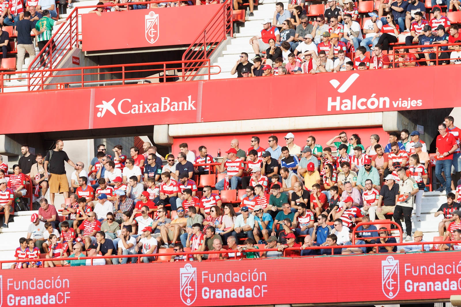 Búscate en la grada de Los Cármenes durante el Granada-Betis
