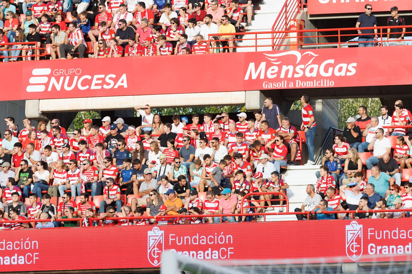Búscate en la grada de Los Cármenes durante el Granada-Betis