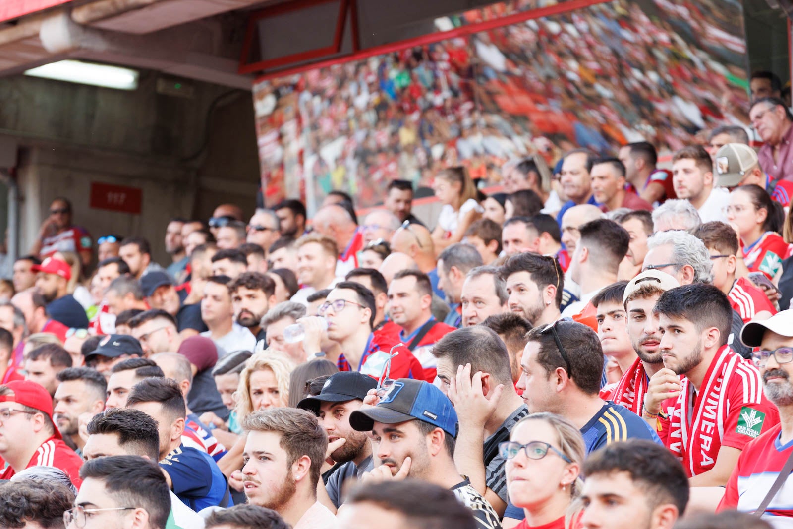 Búscate en la grada de Los Cármenes durante el Granada-Betis