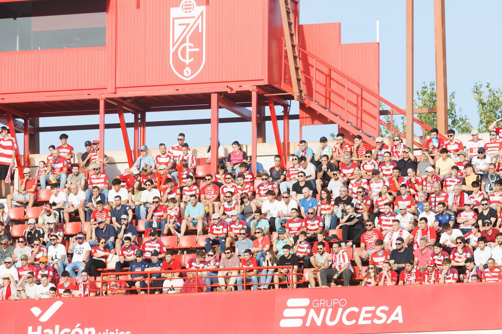 Búscate en la grada de Los Cármenes durante el Granada-Betis