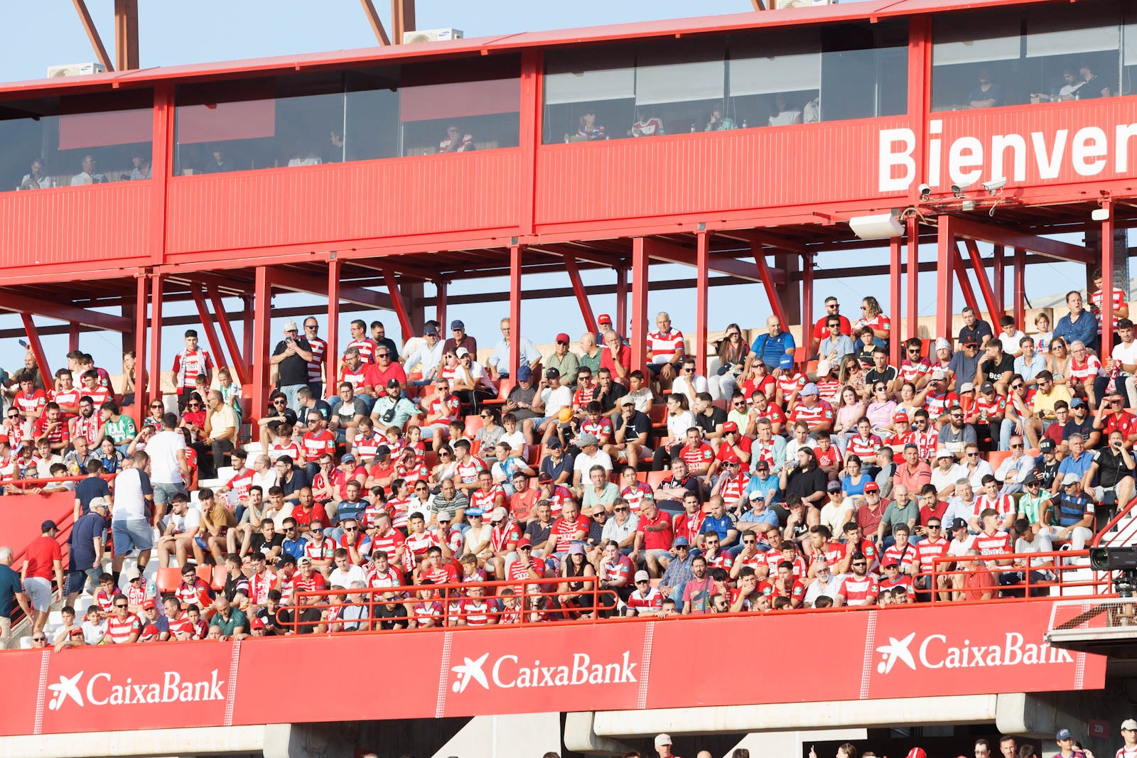 Búscate en la grada de Los Cármenes durante el Granada-Betis