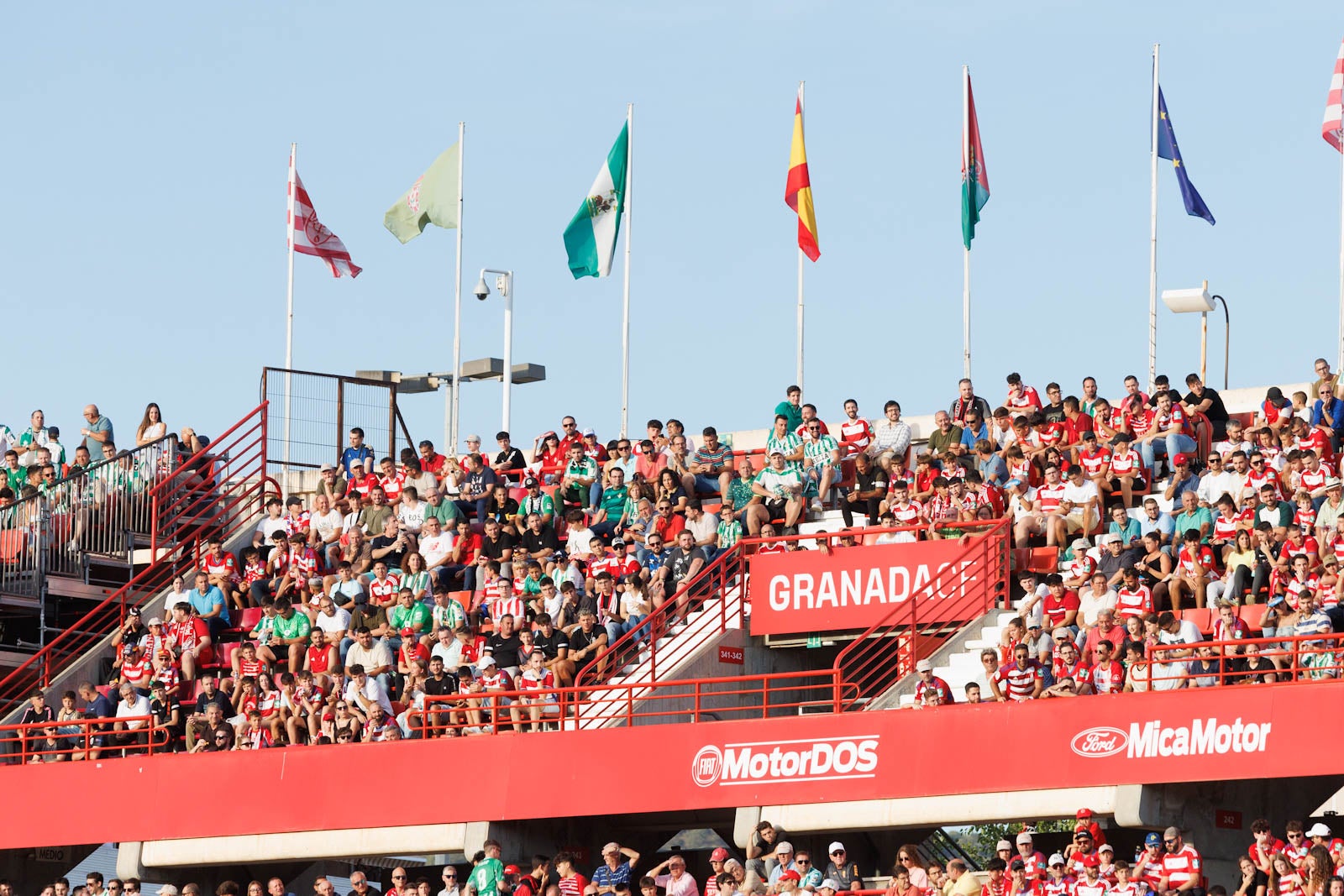 Búscate en la grada de Los Cármenes durante el Granada-Betis