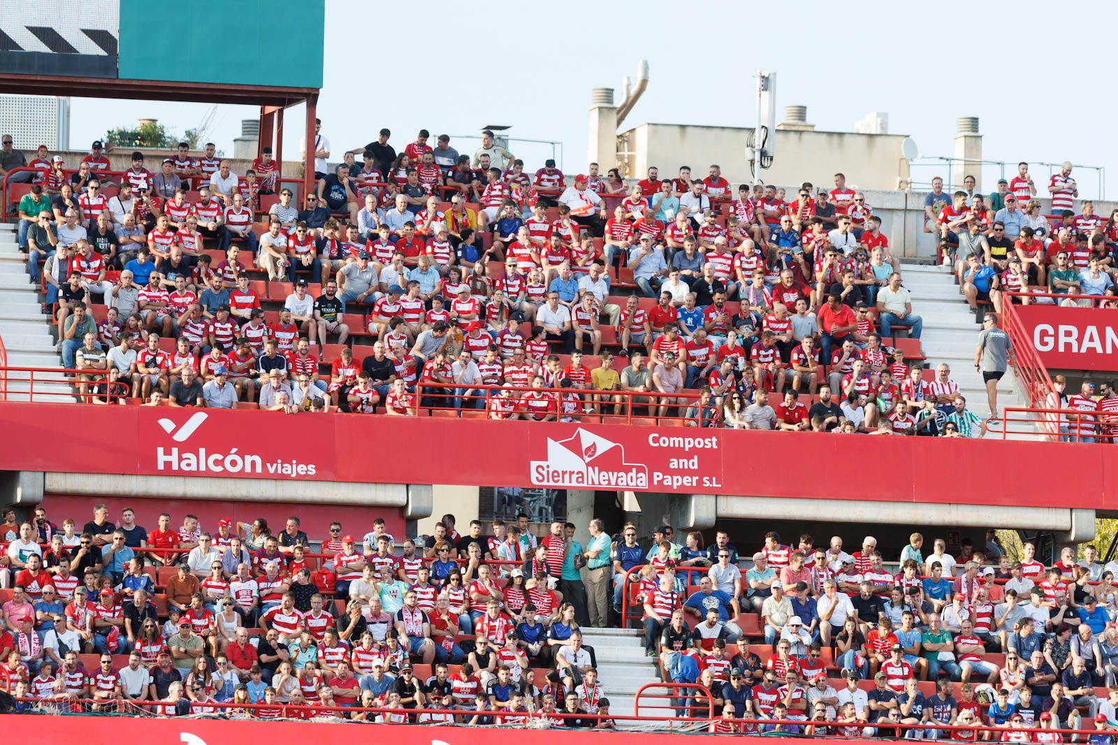 Búscate en la grada de Los Cármenes durante el Granada-Betis