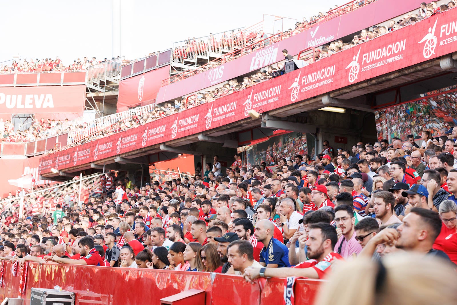 Búscate en la grada de Los Cármenes durante el Granada-Betis
