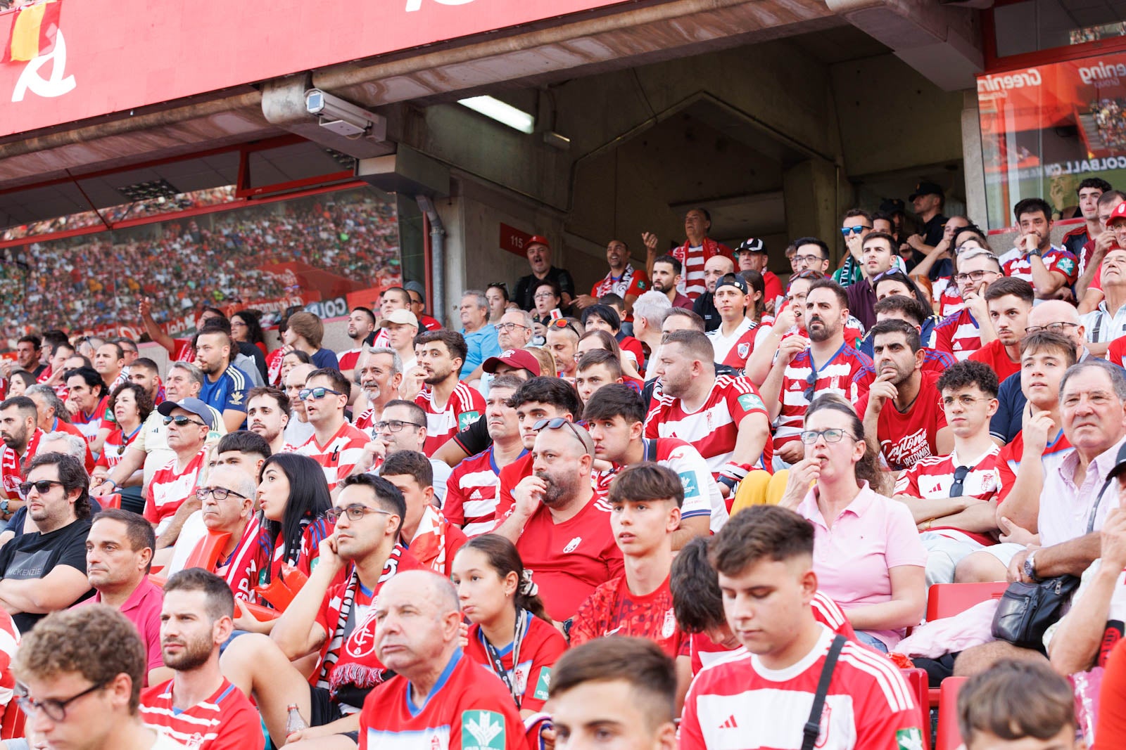 Búscate en la grada de Los Cármenes durante el Granada-Betis