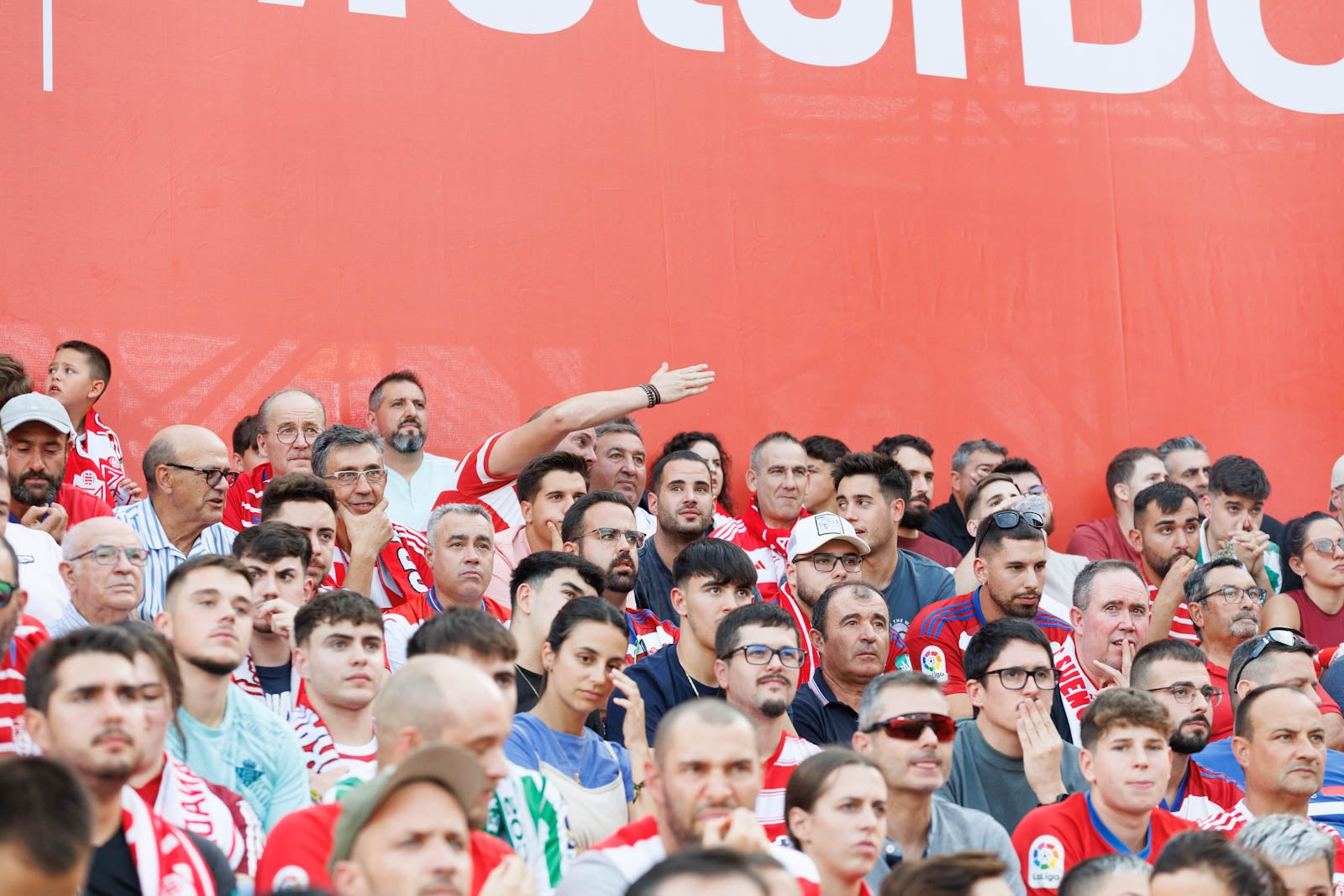 Búscate en la grada de Los Cármenes durante el Granada-Betis