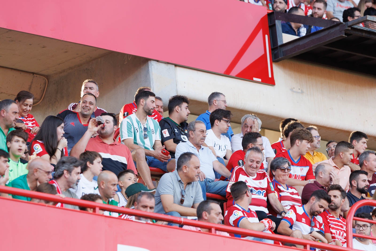 Búscate en la grada de Los Cármenes durante el Granada-Betis