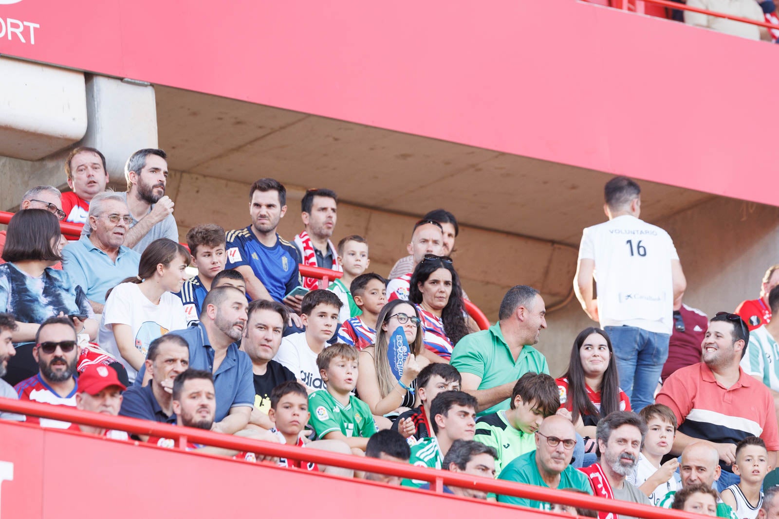 Búscate en la grada de Los Cármenes durante el Granada-Betis