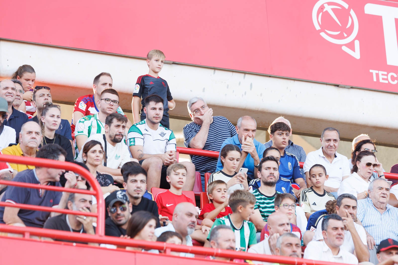 Búscate en la grada de Los Cármenes durante el Granada-Betis