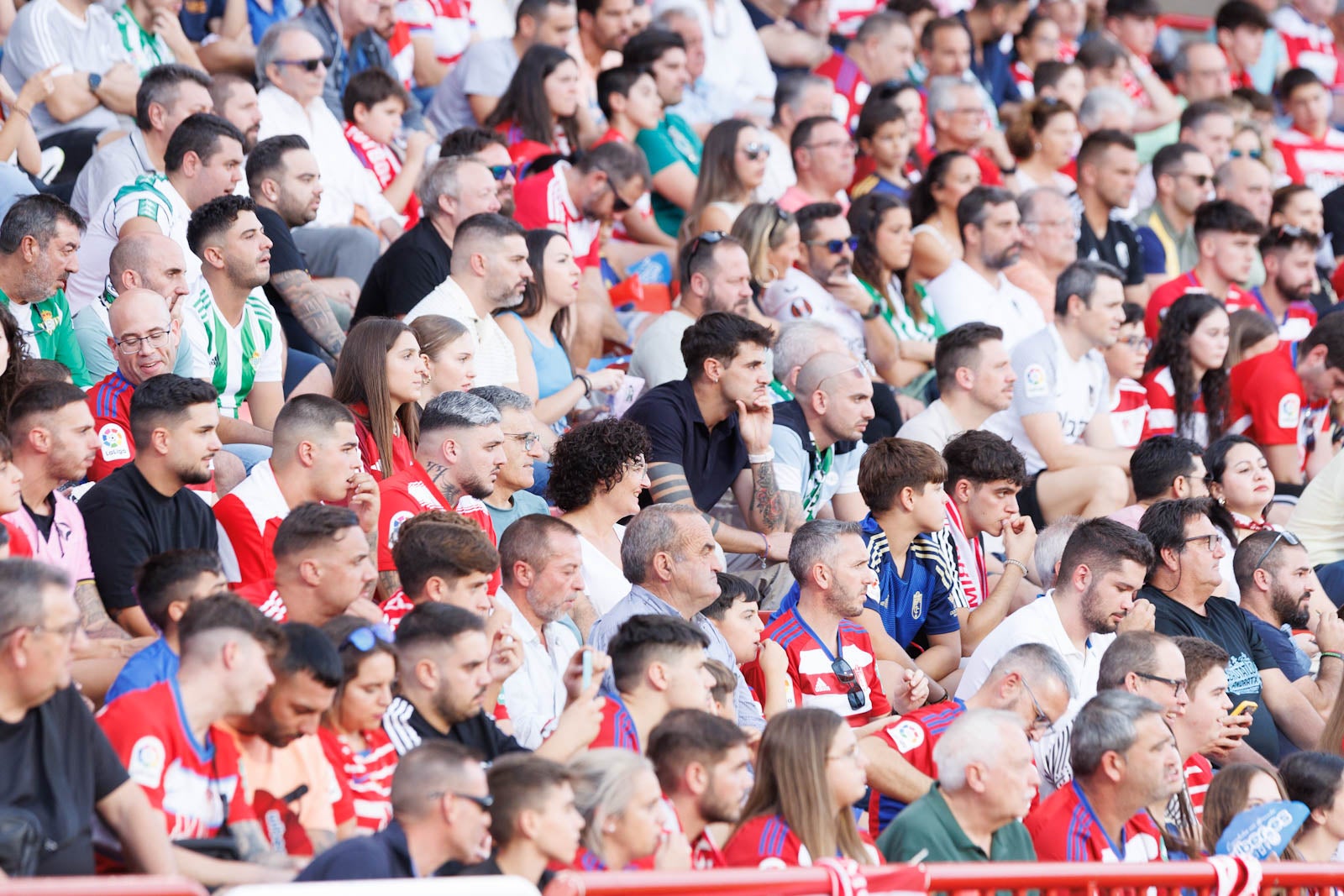 Búscate en la grada de Los Cármenes durante el Granada-Betis