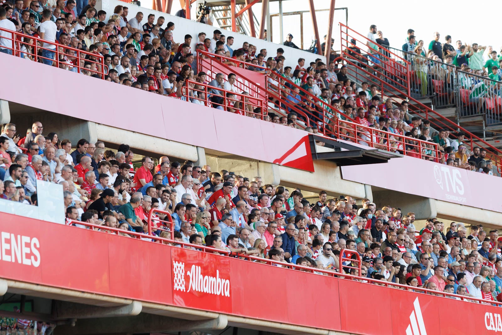 Búscate en la grada de Los Cármenes durante el Granada-Betis