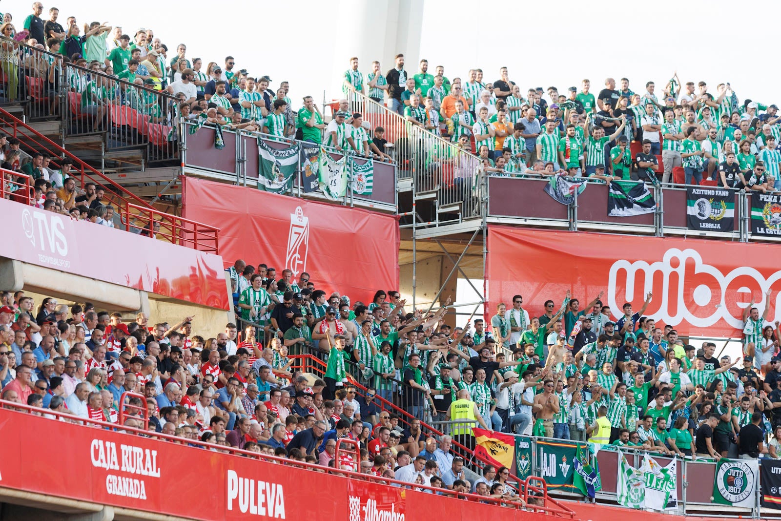 Búscate en la grada de Los Cármenes durante el Granada-Betis