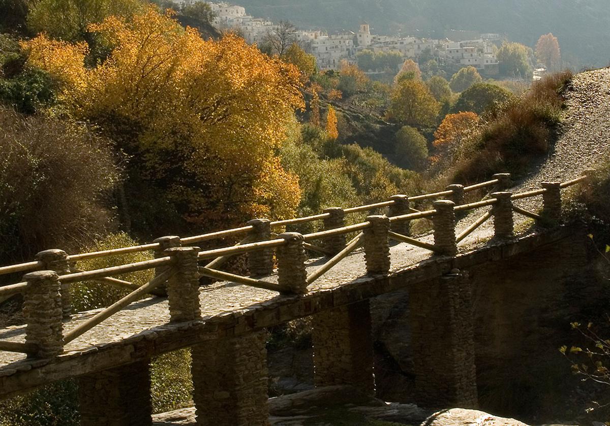 Puente de la Higuerilla o del Molino