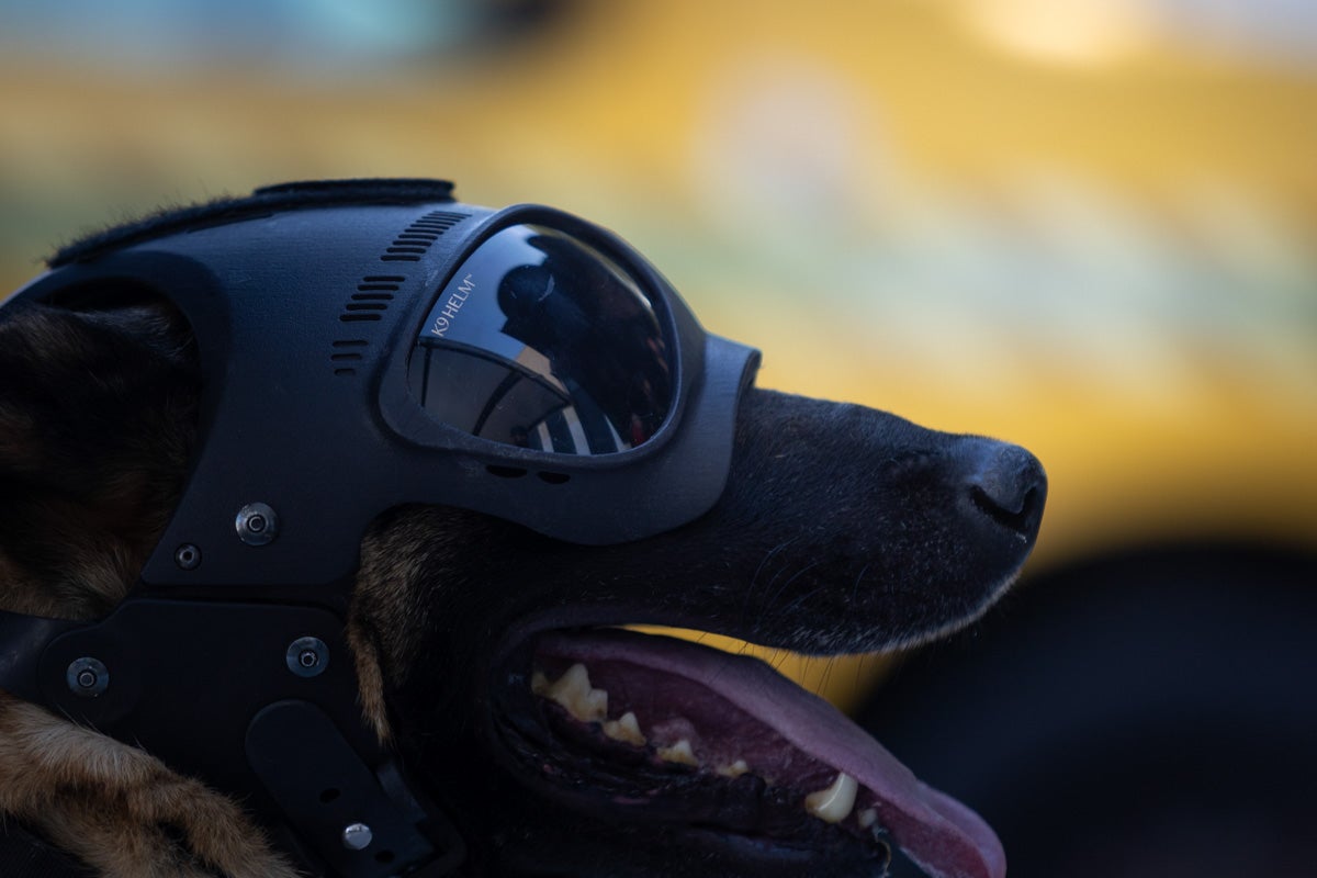 Así actuará la Guardia Civil en la cumbre europea de Granada