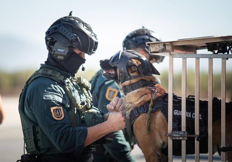 Tasman junto a uno de los agentes del Grupo de Acción Rápida de la Guardia Civil en los ensayos para la cumbre de Granada.