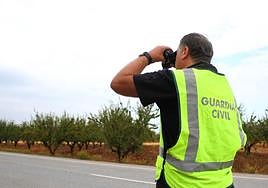 Miedo en el campo por el aumento de robos de aceituna para la próxima campaña