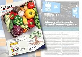 Detalle de la portada del suplemento especial con el fondo de varias páginas interiores.